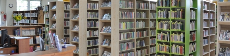 Wnętrze z książkami